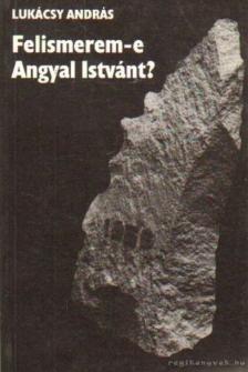 LUKÁCSY ANDRÁS - Felismerem-e Angyal Istvánt? [antikvár]