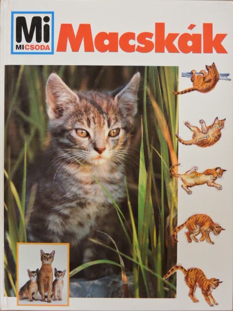Dr. Rainer Köthe - Macskák [antikvár]