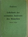 Dr. Felix Sieglbauer - Lehrbuch der Normalen Anatomie des Menschen [antikvár]