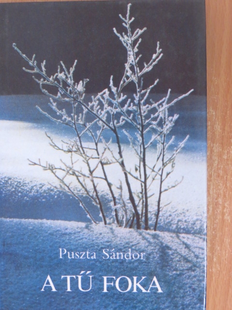 Puszta Sándor - A tű foka [antikvár]
