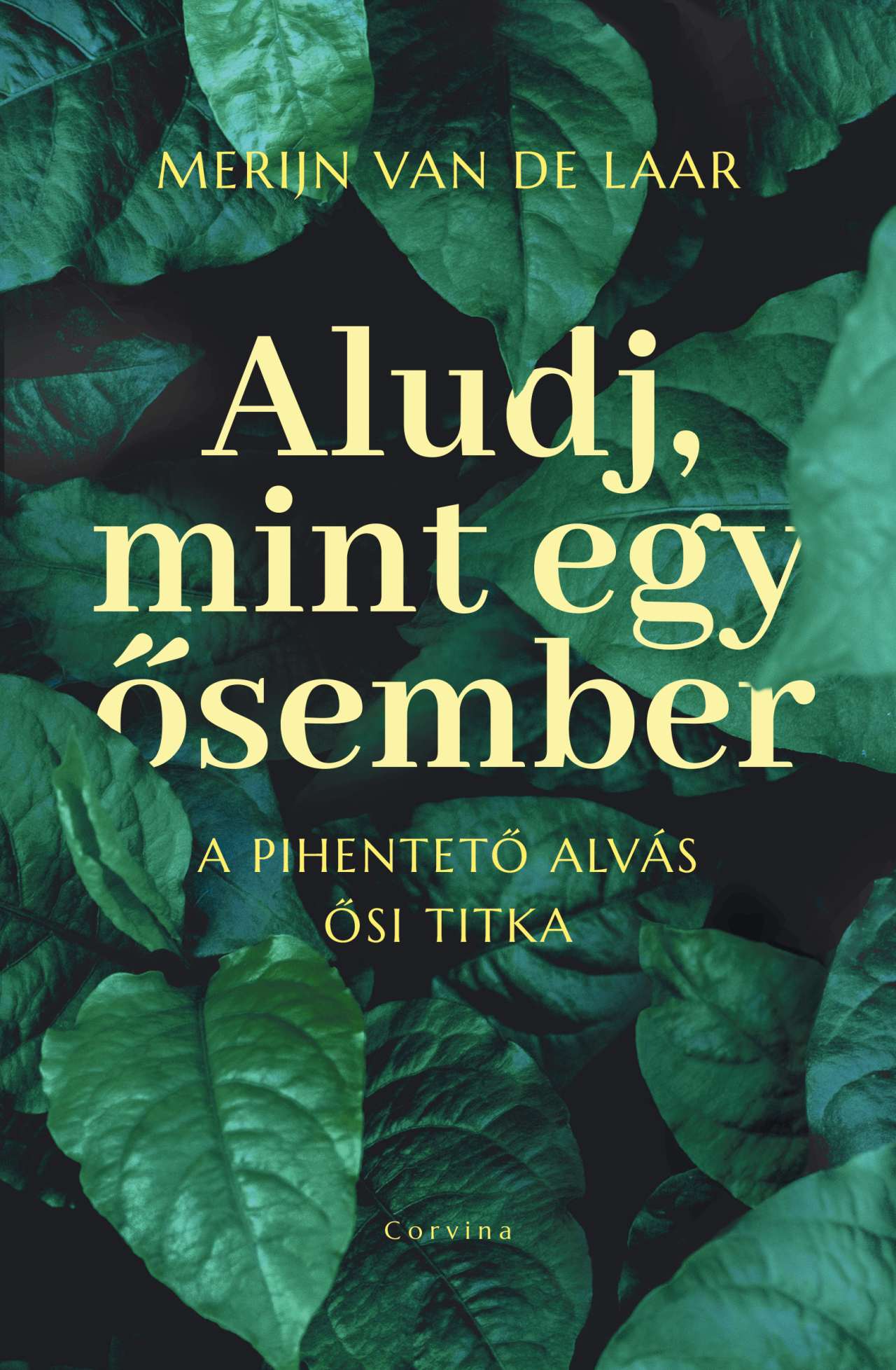 Merijn van de Laar - Aludj, mint egy ősember - A pihentető alvás ősi titka