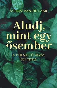 Merijn van de Laar - Aludj, mint egy ősember - A pihentető alvás ősi titka