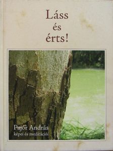 Pajor András - Láss és érts! [antikvár]