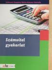 Juhászné Koppány Márta - Számvitel gyakorlat [antikvár]