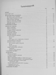 Csahóczi Erzsébet - Matematika tankönyv 6/I. [antikvár]