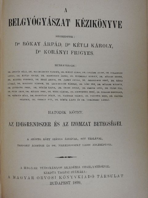 Dr. Jendrássik Ernő - A belgyógyászat kézikönyve VI. [antikvár]