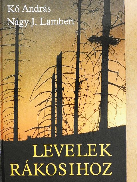 Kő András - Levelek Rákosihoz [antikvár]