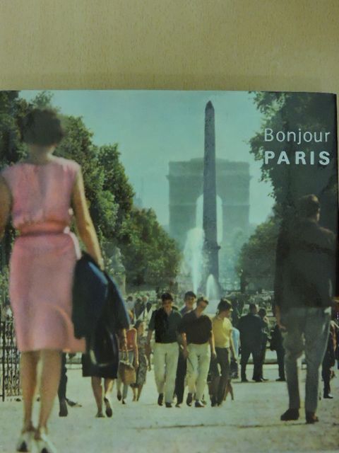 Francois Brigneau - Bonjour Paris [antikvár]