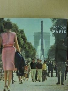 Francois Brigneau - Bonjour Paris [antikvár]
