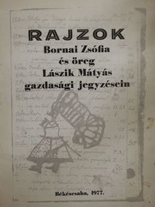 Lipták Pál - Rajzok Bornai Zsófia és öreg Lászik Mátyás gazdasági jegyzésein [antikvár]