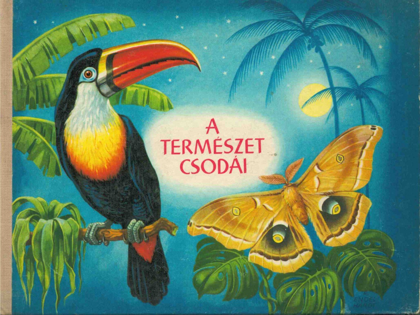 Engel-Hardt, Rudolf - A természet csodái [antikvár]