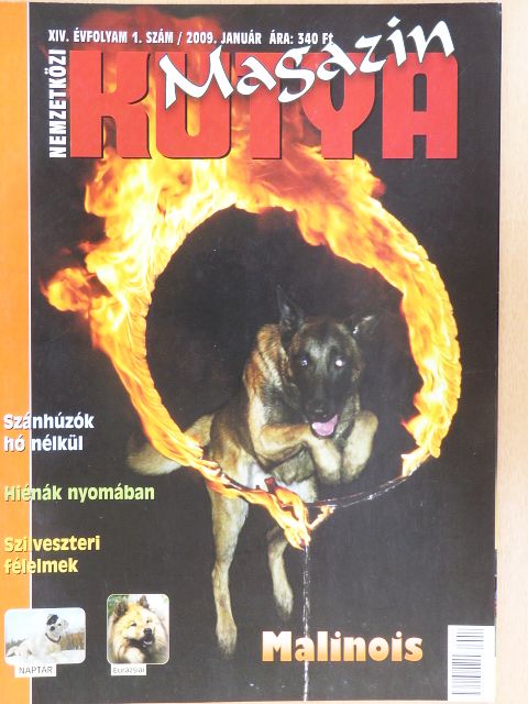 Nemzetközi Kutya Magazin 2009. január [antikvár]