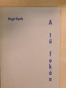 Hegyi Gyula - A tű fokán [antikvár]