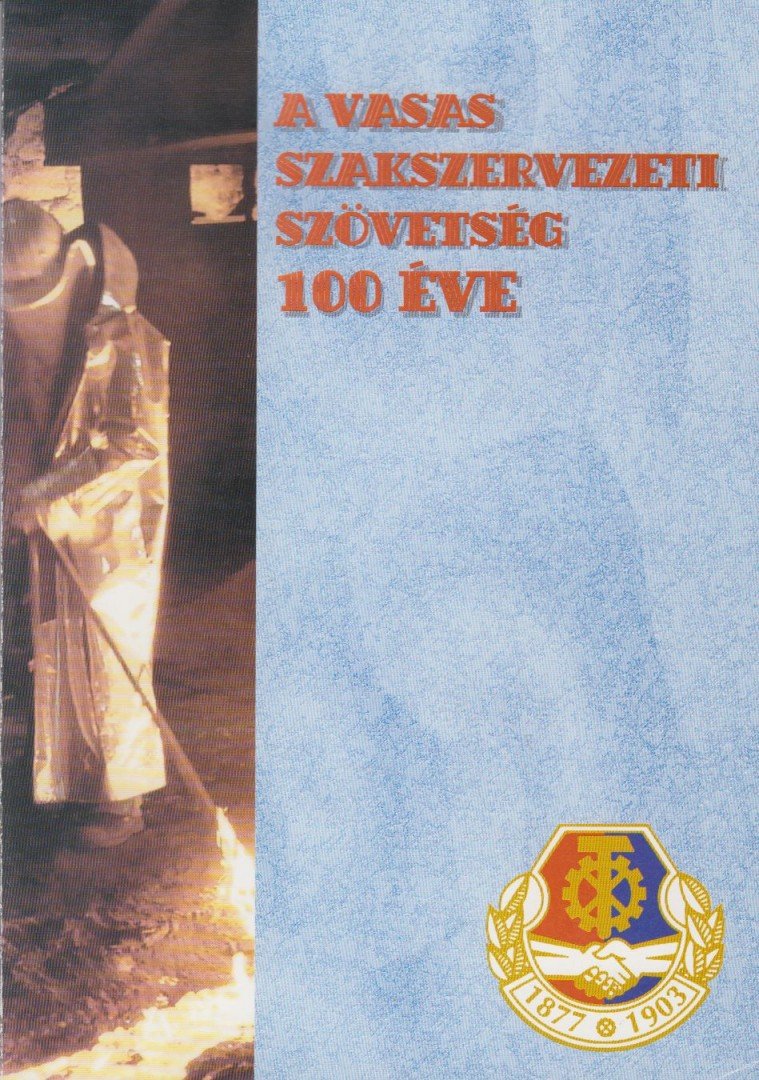 Lux Judit - A Vasas szakszervezeti szövetség 100 éve [antikvár]