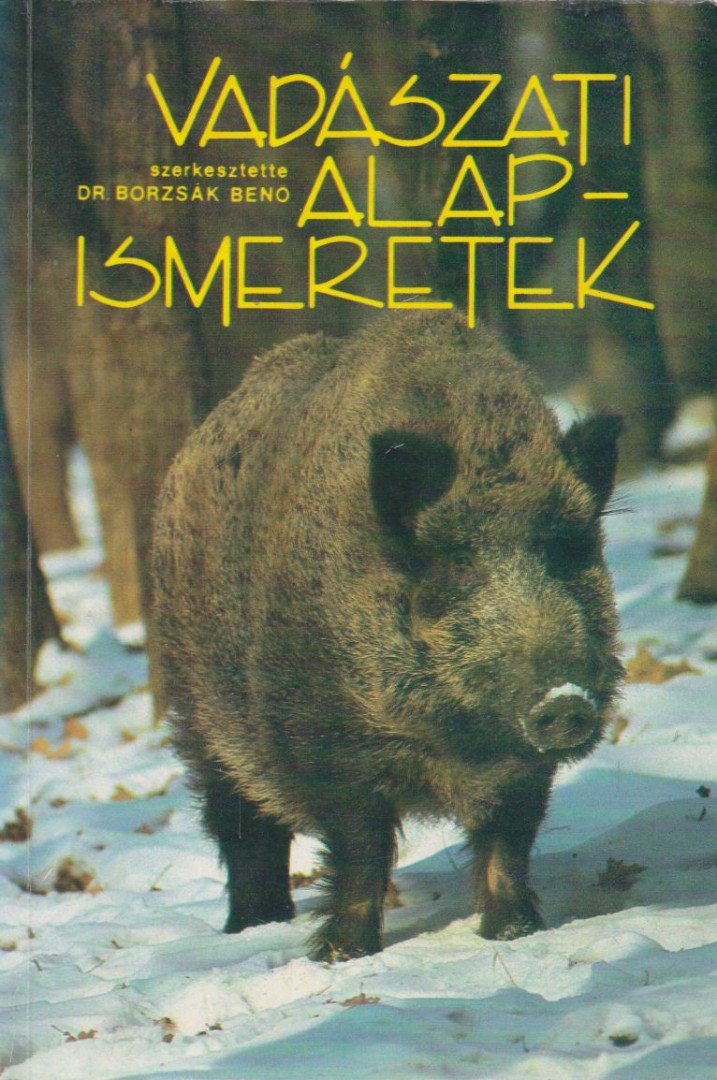 Borzsák Benő - Vadászati alapismeretek [antikvár]