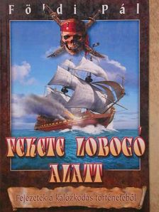 Földi Pál - Fekete lobogó alatt [antikvár]