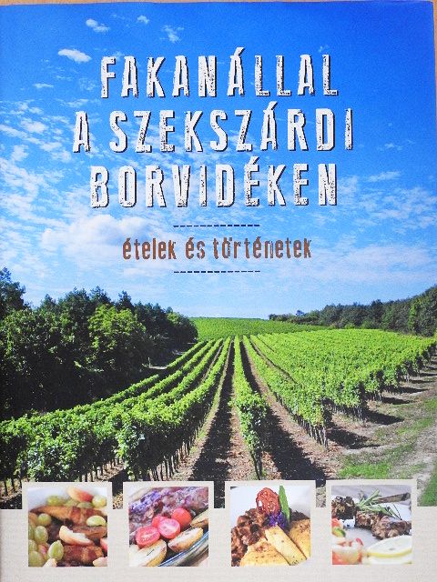 Erdélyi Z. Ágnes - Fakanállal a szekszárdi borvidéken [antikvár]
