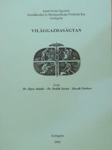 Bozsik Norbert - Világgazdaságtan [antikvár]