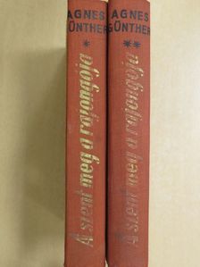 Agnes Günther - A szent meg a rajongója I-II. [antikvár]