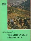 Aba Iván - Budapest-Tokajhegyalja-Sárospatak [antikvár]