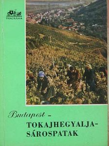 Aba Iván - Budapest-Tokajhegyalja-Sárospatak [antikvár]