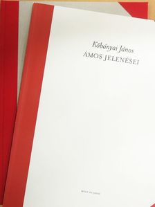 Kőbányai János - János apostolnak mennyei jelenésekről való könyve/Ámos jelenései [antikvár]