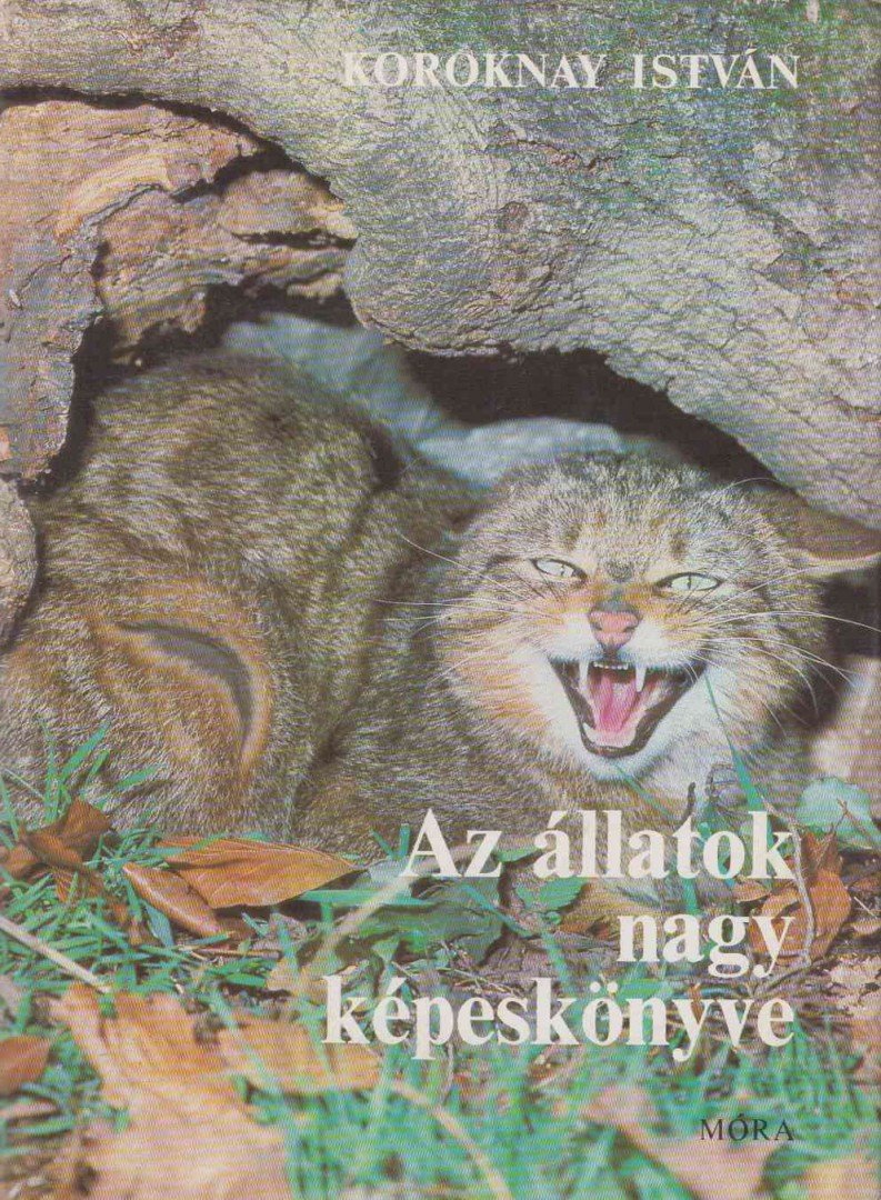 Koroknay István - Az állatok nagy képeskönyve [antikvár]