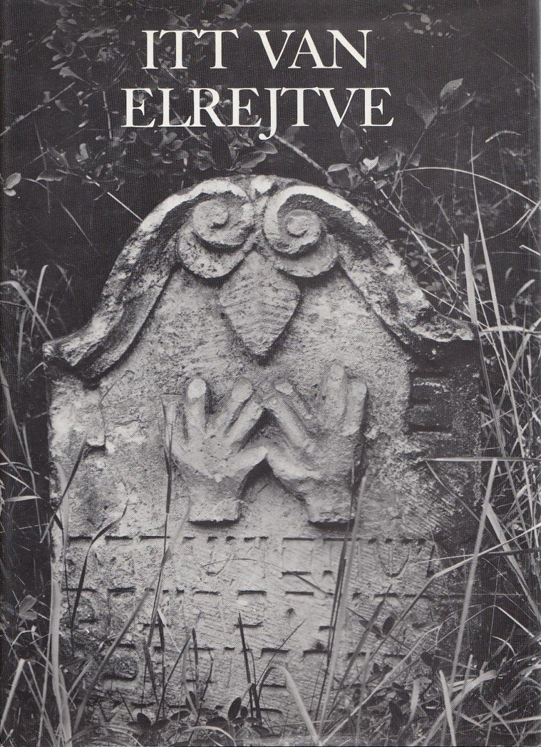 Wirth Péter - Itt van elrejtve [antikvár]
