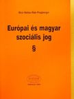 Dr. Bíró Noémi - Európai és magyar szociális jog [antikvár]