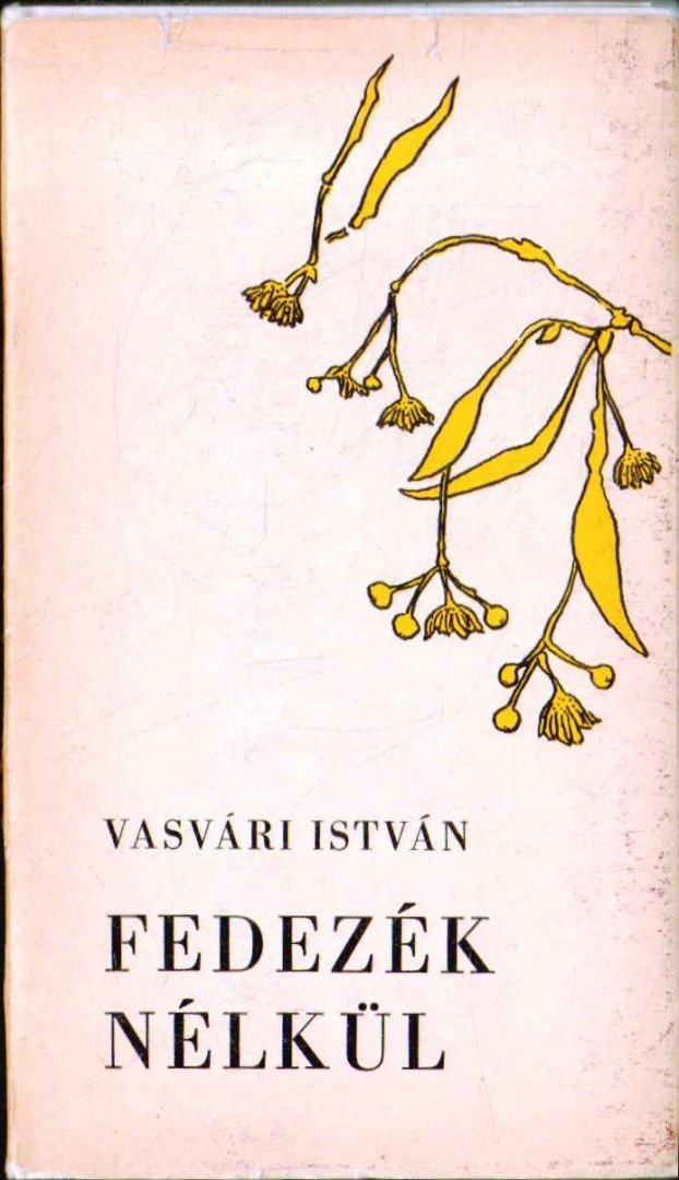 Vasvári István - Fedezék nélkül [antikvár]
