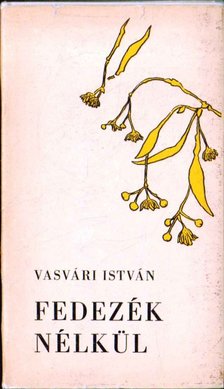 Vasvári István - Fedezék nélkül [antikvár]