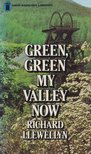 RICHARD LLEWELLYN - Green, Green My Valley Now [antikvár]