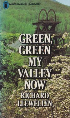 RICHARD LLEWELLYN - Green, Green My Valley Now [antikvár]