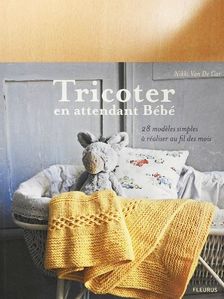 Nikki Van De Car - Tricoter en attendant Bébé [antikvár]