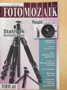 Steiner Gábor - Foto Mozaik 2012. január [antikvár]