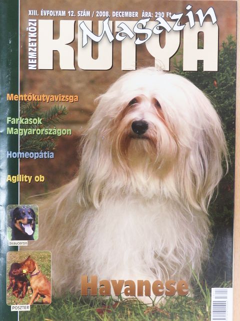 Nemzetközi Kutya Magazin 2008. december [antikvár]