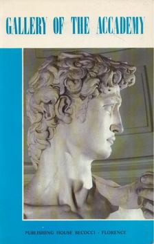 Roberto Bartolini - Gallery of the Accademy and David's Tribune [antikvár]