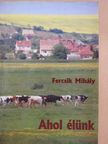 Fercsik Mihály - Ahol élünk (dedikált példány) [antikvár]