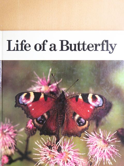 Andreas Fischer-Nagel - Life of a Butterfly [antikvár]