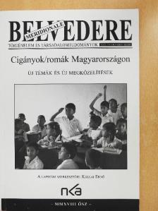Erős Barbara - Cigányok/romák Magyarországon 2018. ősz [antikvár]