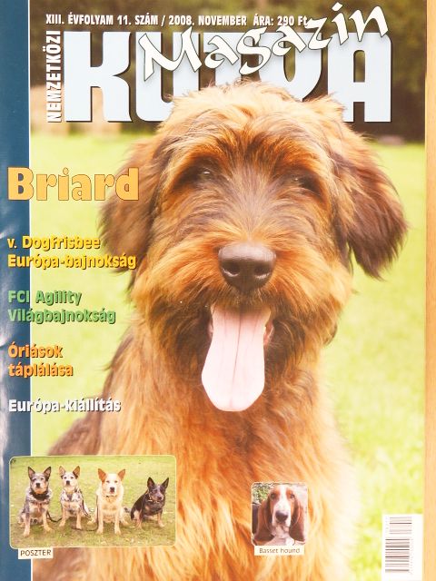 Nemzetközi Kutya Magazin 2008. november [antikvár]