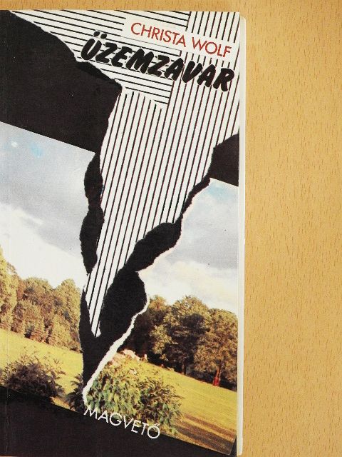 Christa Wolf - Üzemzavar [antikvár]