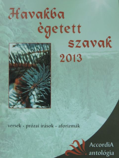 Balázs Tibor - Havakba égetett szavak 2013 [antikvár]