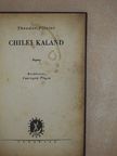 Theodor Plievier - Chilei kaland [antikvár]
