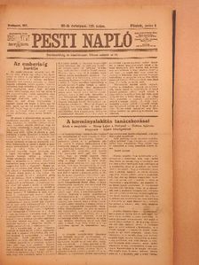 Bakos Tibor - Pesti Napló 1917. (nem teljes évfolyam) [antikvár]