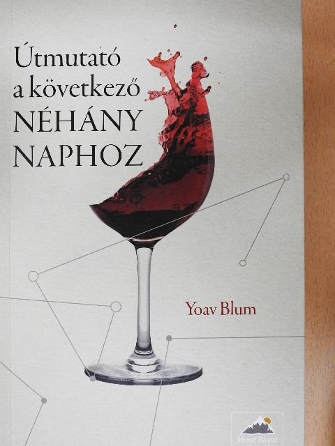 Yoav Blum - Útmutató a következő néhány naphoz [antikvár]
