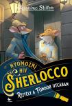 Geronimo Stilton - Rejtély a Fondor utcában