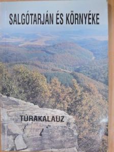 Dr. Fancsik János - Salgótarján és környéke [antikvár]
