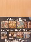 Paul Schenk - Schönes Bern/La belle ville de Berne/Beautiful Berne [antikvár]
