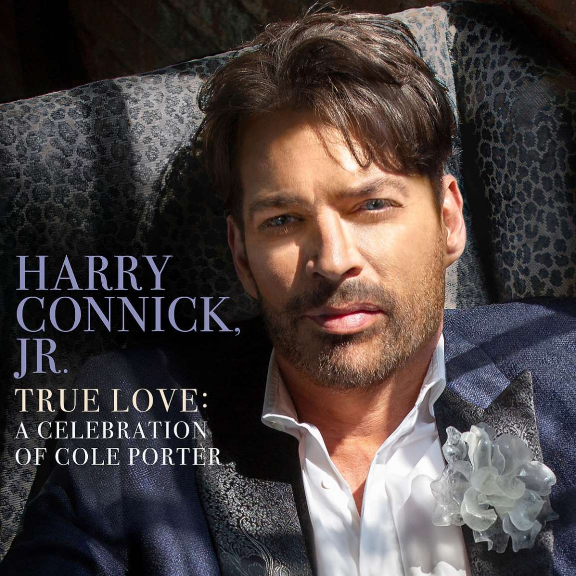 COLE PORTER - TRUE LOVE: A CELEBRATION OF COLE PORTER 2LP HARRY CONNICK JR.